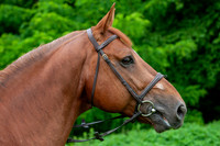 20080607_EKL_0074
