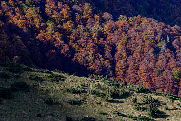 20071022_EKL_0008