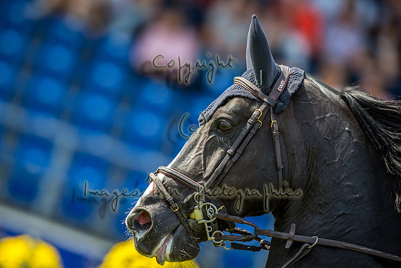 20150820_EKL_0157
