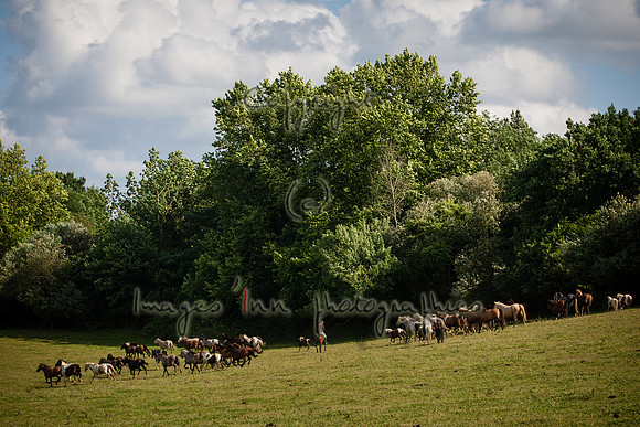 20110531_QOC_0043