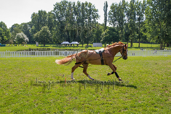 20140613_EKL_0001