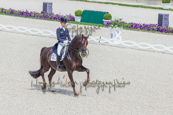 20140720_EKL_0138