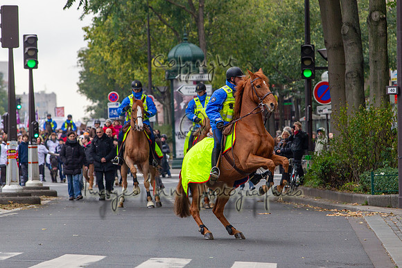20131124_EKL_0044