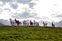 Pyrénées 2014
