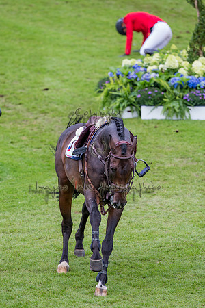 20150819_EKL_0211