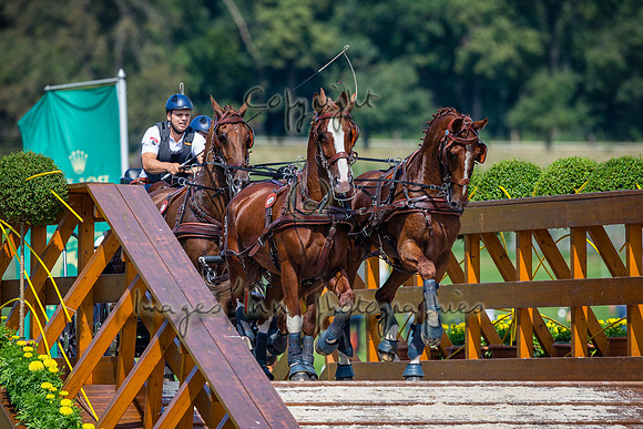 20150822_EKL_0149