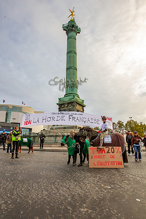 20131111_EKL_0196
