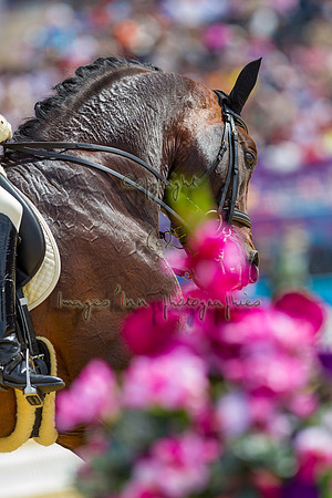 20120803_EKL_0283