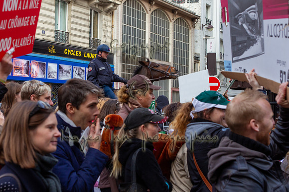 20131111_EKL_0129