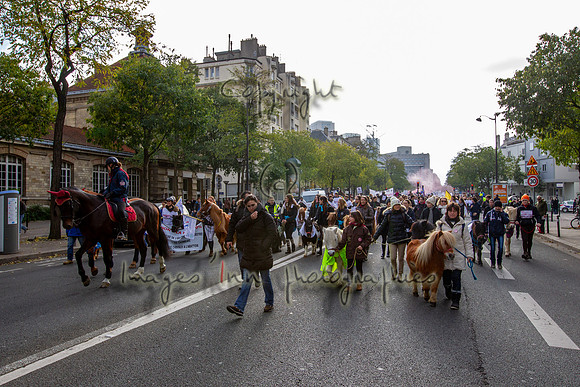 20131124_EKL_0015