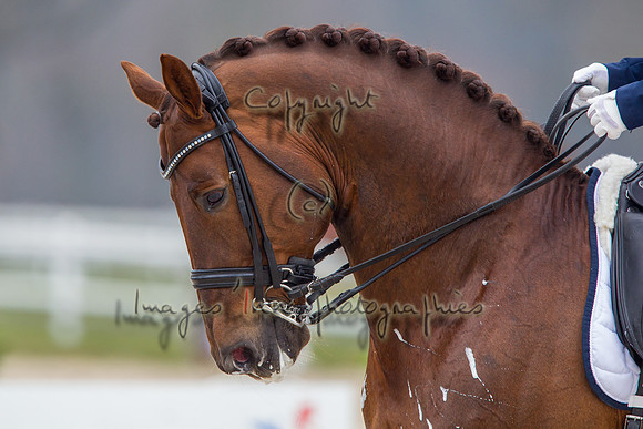 20130406_EKL_0058