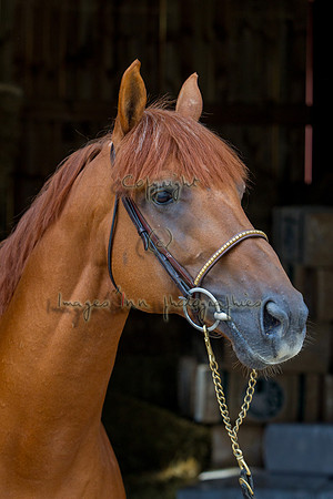 20120902_EKL_0213