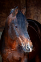 20081003_EKL_0025