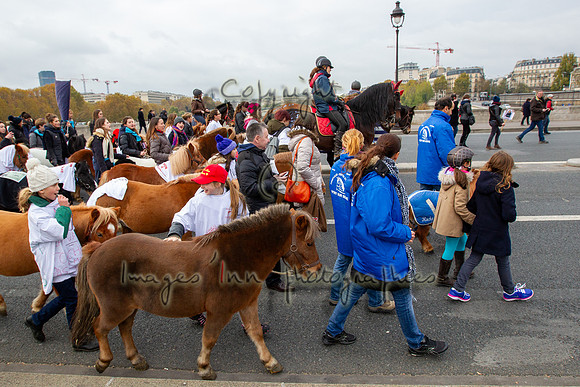 20131124_EKL_0084
