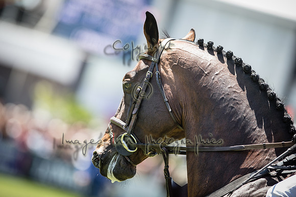 20150517_EKL_0242