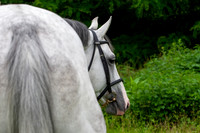 20080608_EKL_0026