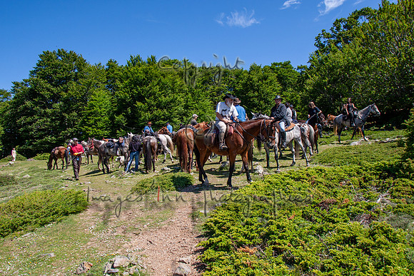20090611_EKL_0004