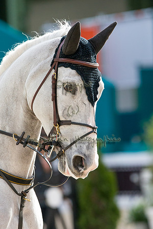 20130412_EKL_0166