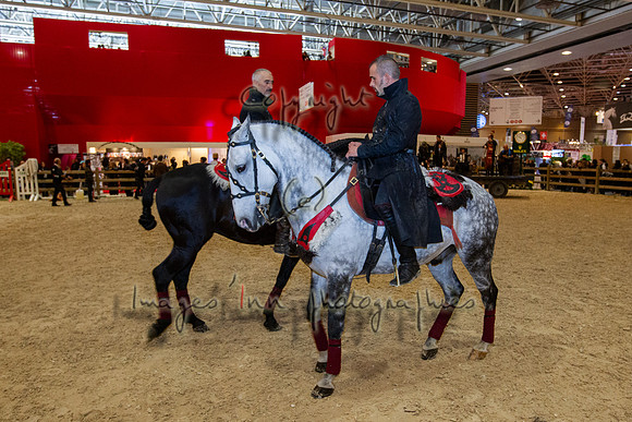 20121103_EKL_0221