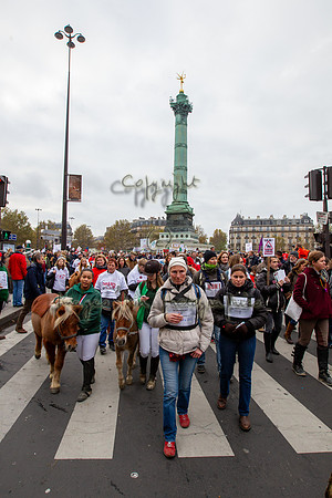 20131124_EKL_0138