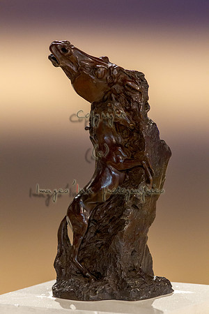 20101203_EKL_0005
