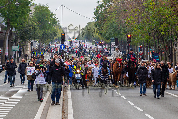 20131124_EKL_0052