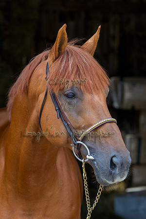 20120902_EKL_0219