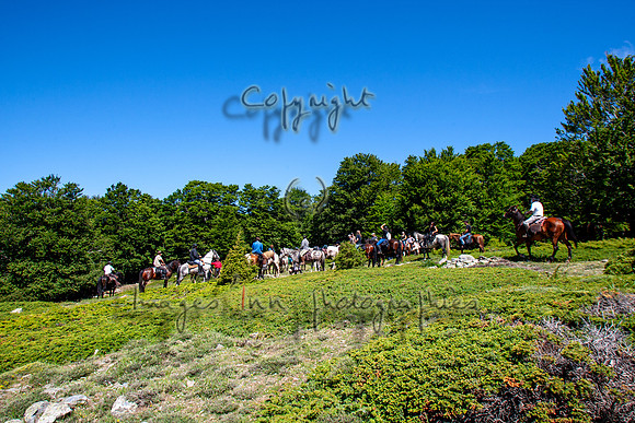 20090611_EKL_0001
