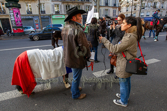 20131111_EKL_0095