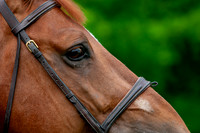 20080607_EKL_0073