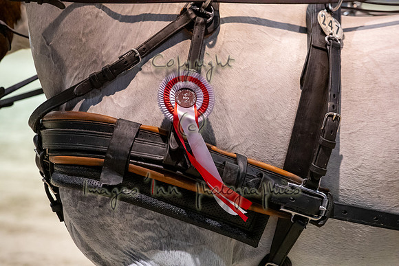 20190210_EKL_0358