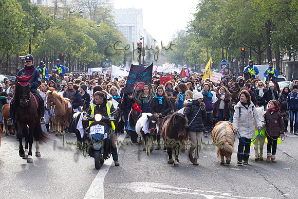 20131124_EKL_0027