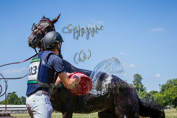 20190715_EKL_0231