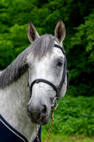 20080607_EKL_0007