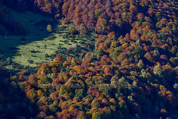 20071022_EKL_0011