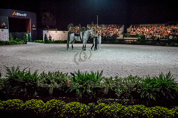 20140905_EKL_0024