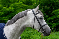 20080607_EKL_0020