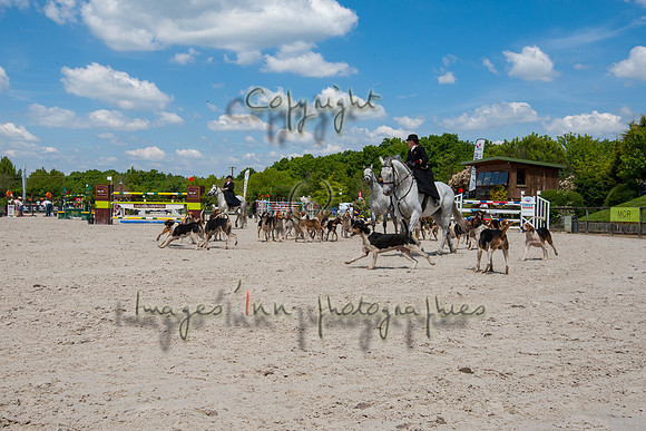 20130526_EKL_0027