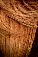 Criniere_01