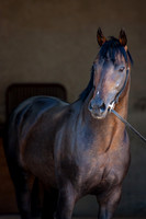 20080724_EKL_0013