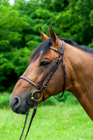 20080607_EKL_0041