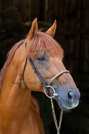 20120902_EKL_0215