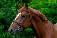 20080607_EKL_0065