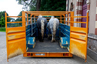 20080717_EKL_0002
