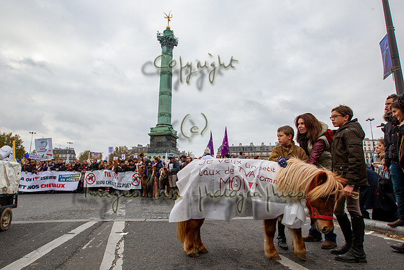 20131124_EKL_0143