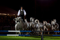 20120602_Y5G_0477