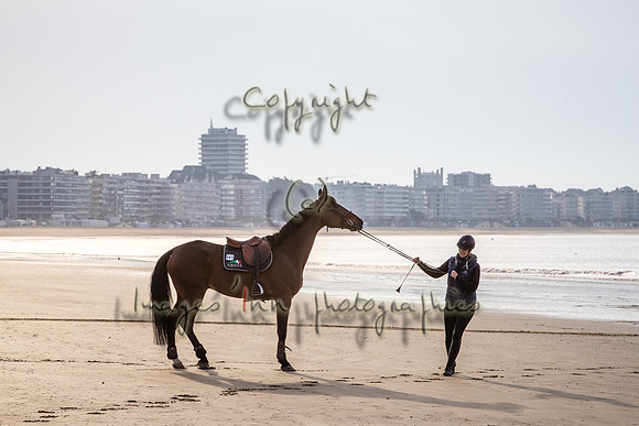 20190517_EKL_0004