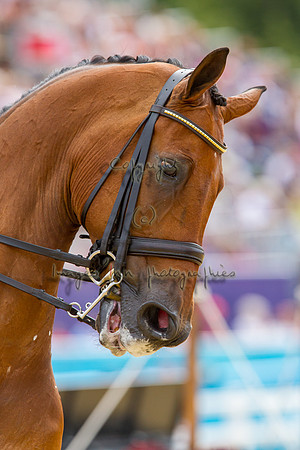 20120802_EKL_0081