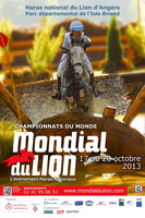 Lion d'Angers 2013 NEW