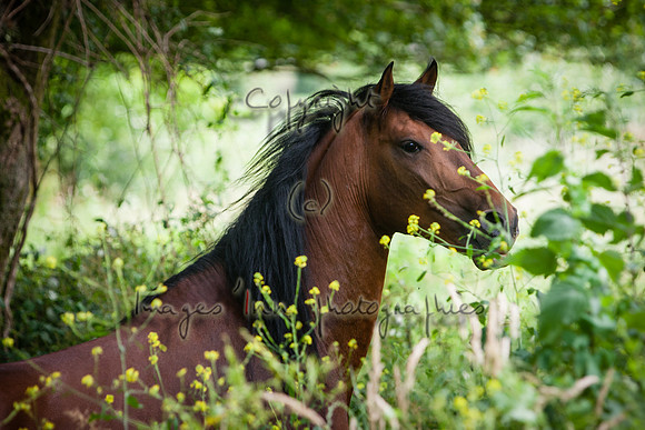 20110531_QOC_0019